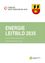 Ein Poster mit grünem Hintergrund, das ein Logo und weißen Text zeigt. Der Titel lautet 'Energie Leitbild 2035' und der Gemeindename 'Sankt Radegund bei Graz' ist angegeben. Das Poster will den Klimaschutz fördern.