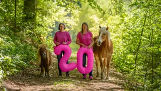 Two women with pink balloons forming the number 20 are standing in a forest path with a horse and a pony.