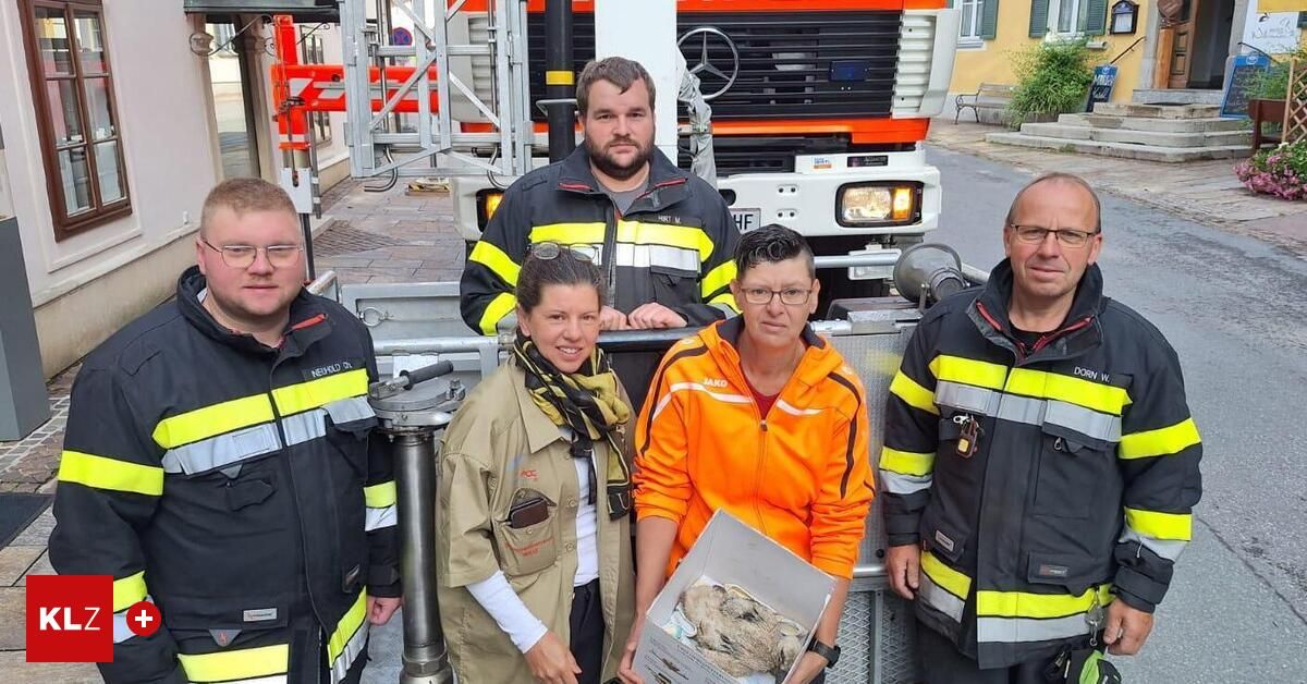 Five firefighters stand in front of a fire truck with a cow inside a box, smiling for the camera.