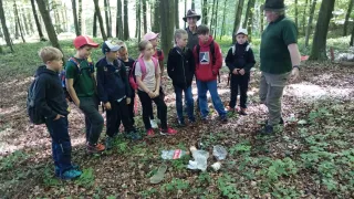 A group of children and adults stand in a forest, looking at discarded plastic bottles on the ground. One adult wears a green shirt and a hat.