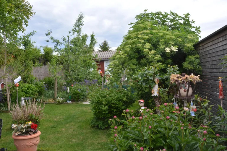 A garden with a mix of trees, shrubs, and flowers. A small house and a shed in the background. A cloudy sky.