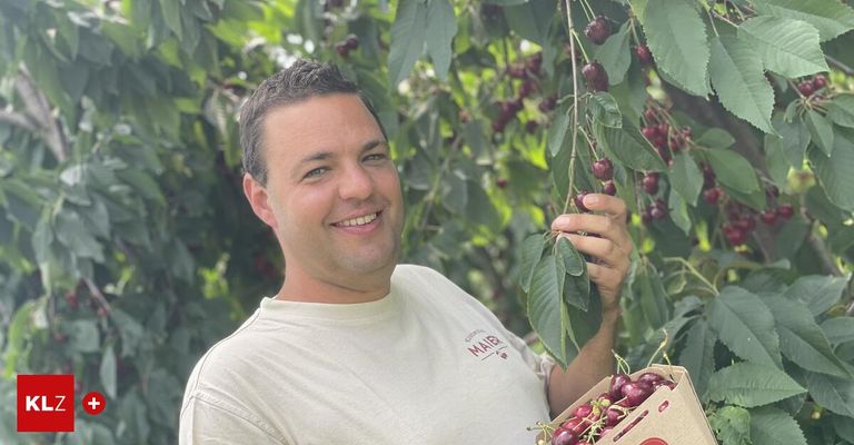 Ein lächelnder Mann in einem weißen T-Shirt hält eine Schachtel Kirschen vor einem Kirschbaum.