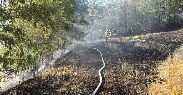 Feuerwehrleute verwenden einen Schlauch, um ein Feuer in einem bewaldeten Gebiet zu löschen. Der Boden ist verkohlt und im Hintergrund steigt Rauch auf.