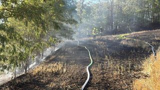Feuerwehrleute verwenden einen Schlauch, um ein Feuer in einem bewaldeten Gebiet zu löschen. Der Boden ist verkohlt und im Hintergrund steigt Rauch auf.
