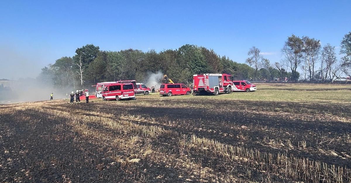 Feuerwehrfahrzeuge und Personal sind auf einem verbrannten Feld. Bäume umgeben das Gebiet, und ein Baum ist laublos. Ein rotes Auto ist in der Nähe geparkt.