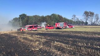 Feuerwehrfahrzeuge und Personal sind auf einem verbrannten Feld. Bäume umgeben das Gebiet, und ein Baum ist laublos. Ein rotes Auto ist in der Nähe geparkt.