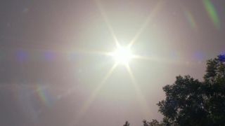Die Sonne leuchtet hell durch eine Wolke, die einen sanften Schein über die Bäume darunter wirft.