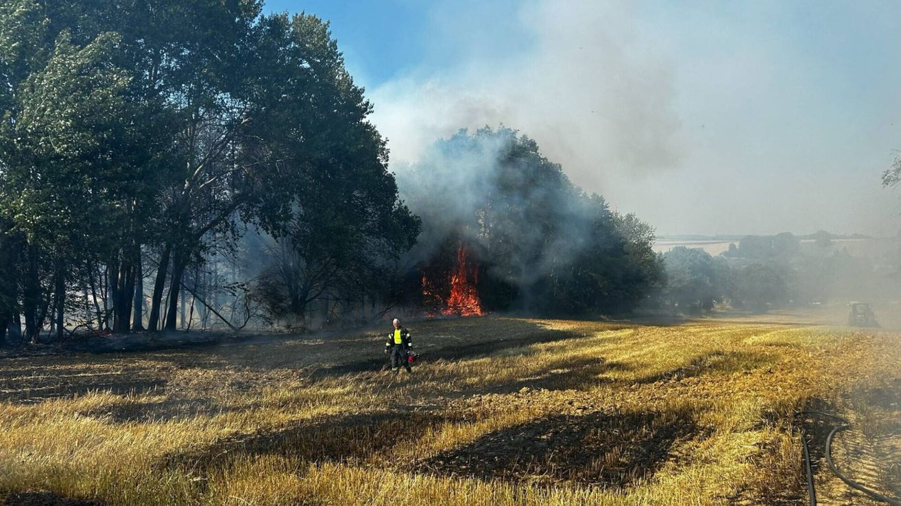 Ein Feuerwehrmann steht vor einem Feldbrand, umgeben von Bäumen mit einem rauchenden Bereich in der Ferne.