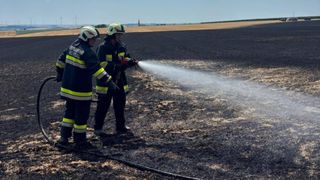 Zwei Feuerwehrleute in Uniform sprühen Wasser in einem verbrannten Feld. Das Wasser spritzt nach oben.