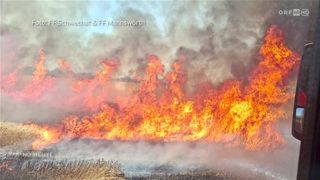 Ein Waldbrand brennt mit intensiven Flammen und produziert dicken Rauch, der sich über ein Feld ausbreitet.