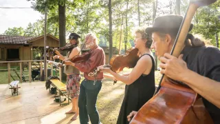 Ein Quartett von Musikern, jeder mit einer Geige, spielt auf einer Bühne, umgeben von Bäumen. Ein Geiger trägt einen Hut, eine Geigerin Brille. Die Bühne befindet sich in einem bewaldeten Bereich mit einer hölzernen Bank in der Nähe.