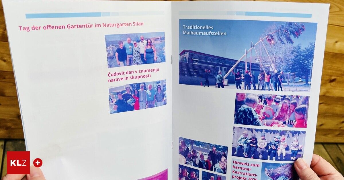 Eine Seite, die Gartenaktivitäten mit Menschen, eine historische Ausstellung und einen Hinweis zum Karntner-Projekt zeigt.