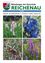 Ein Titelblatt aus Juli 2026 zeigt eine Collage aus Wildblumen und einer Marienkäferin. Der Titel 'Der Sommer lasst grussen!' steht in großen Buchstaben. Die Collage umfasst Bilder von lila und blauen Blumen.