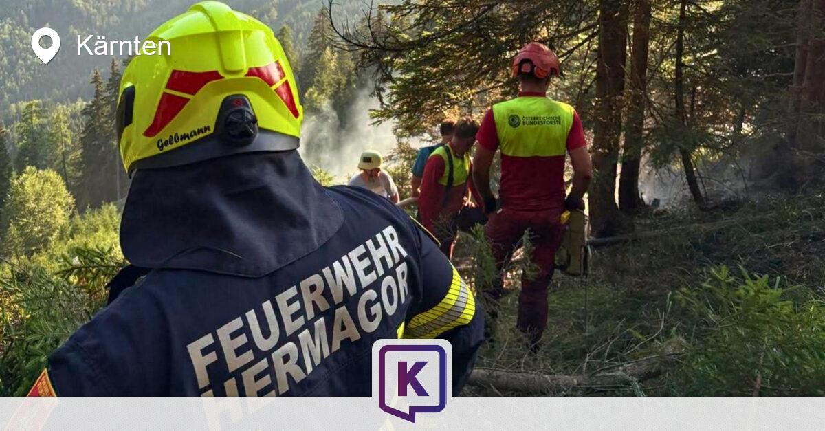 Firefighters in the woods with a fire in the background. One is wearing a yellow helmet and another a red one.