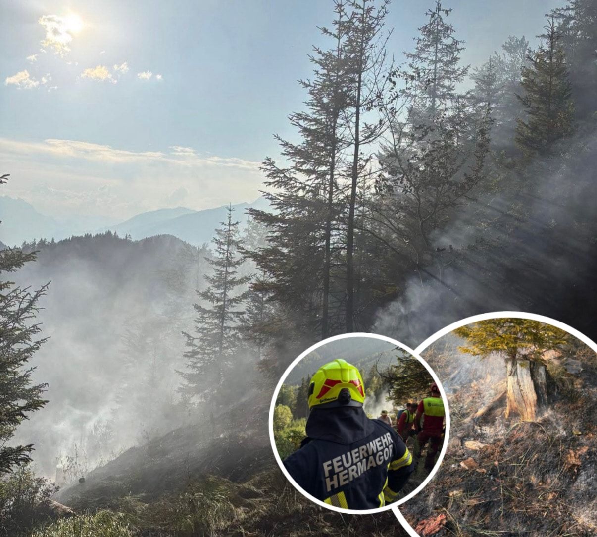 A forest fire with firefighters in action, a firefighter with a yellow helmet, and smoke rising from the ground.
