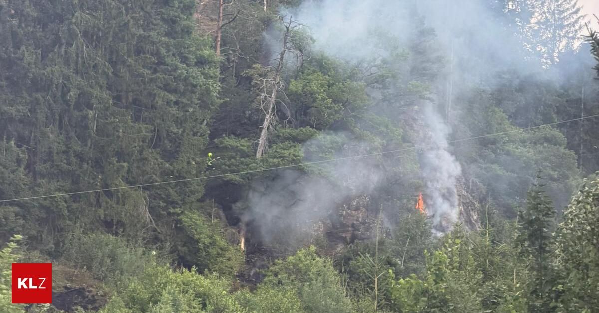 A forest fire burns on a steep hillside with trees and smoke. A rescuer in a yellow helmet works to control the fire.