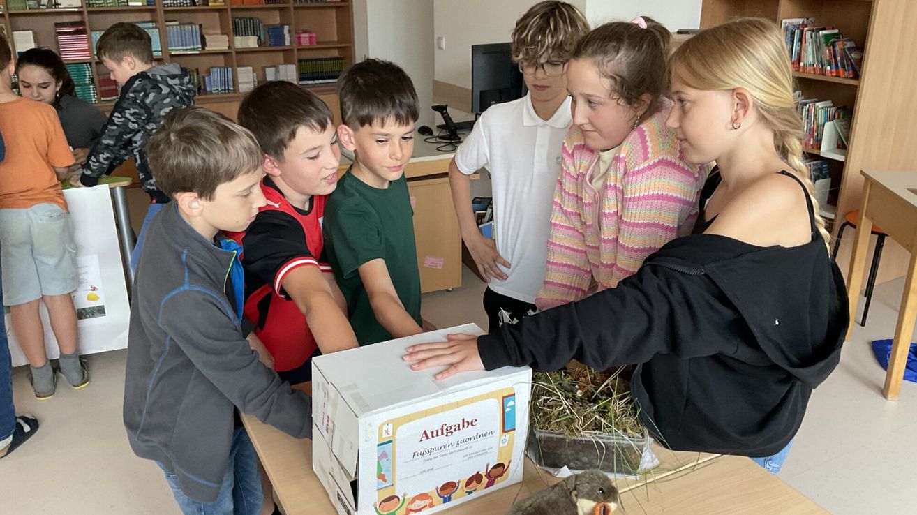 Eine Gruppe von Kindern untersucht eine Box mit dem Wort 'Aufgabe' darauf, die sich auf einem Tisch mit einer kleinen Pflanze darin befindet. Sie werden von einer Frau begleitet.