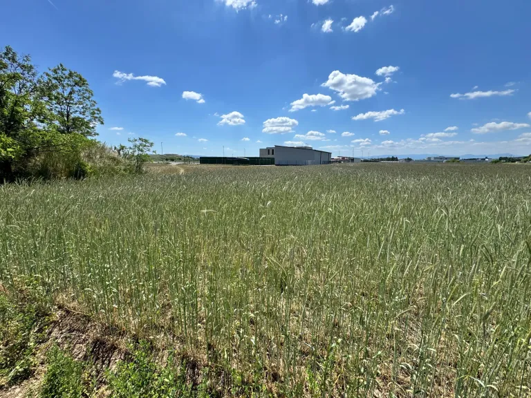 Ein weites, grünes Feld unter einem teilweise bewölkten Himmel. Ein weißes Gebäude steht am anderen Ende, mit einem Zaun und umliegender Vegetation.