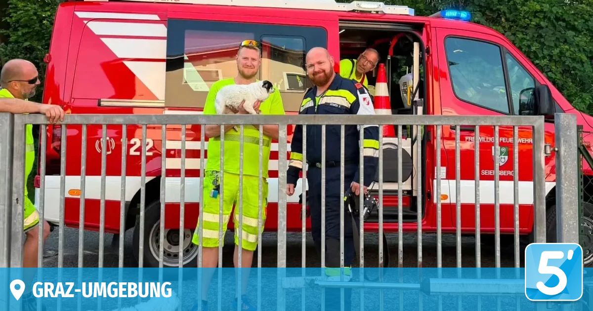 Drei Männer in Warnwesten stehen neben einem roten Feuerwehrauto, einer hält einen Hund. Sie sind draußen mit einem Metallzaun und Verkehrskegel.