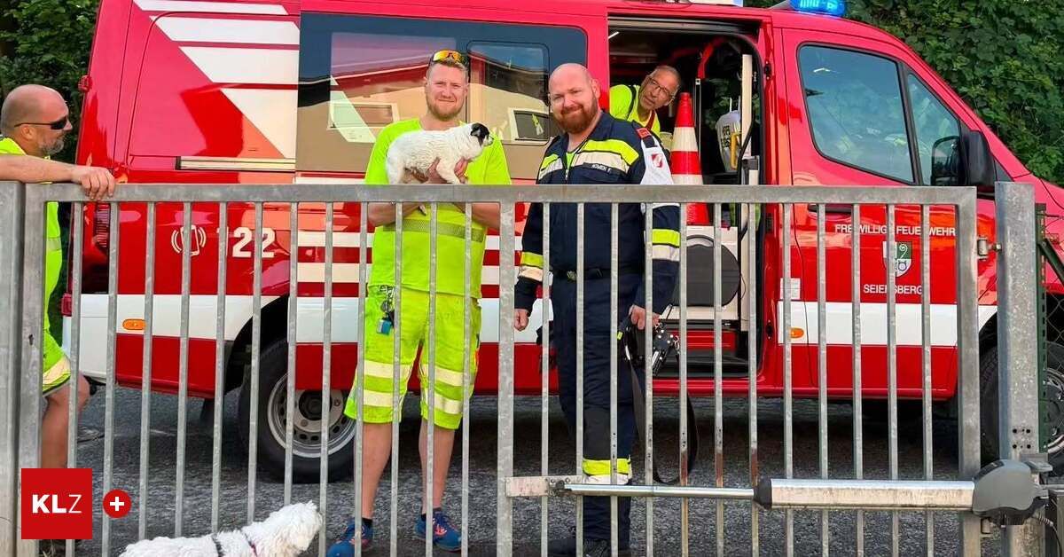 Zwei Feuerwehrleute stehen bei einem roten Fahrzeug mit einem Hund in den Händen. Ein weiterer Hund steht auf dem Boden. Das Fahrzeug hat eine Nummer 2 an der Tür.