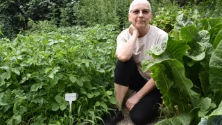 Eine ältere Frau mit Brille kniet in einem Garten, umgeben von grünen Pflanzen. Sie stützt ihr Kinn auf die Hand und lächelt. Ein weißes Pflanzenetikett ist sichtbar.