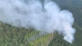 Ein Waldbrand brennt Bäume in einem Waldgebiet, mit sich ausbreitendem Rauch. Feuerwehrleute sind anwesend und reagieren wahrscheinlich auf den Vorfall.