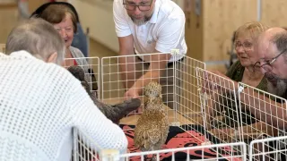 Eine Gruppe älterer Menschen versammelt sich um einen Mann mit Brille und untersucht einen Vogel in einem Käfig.