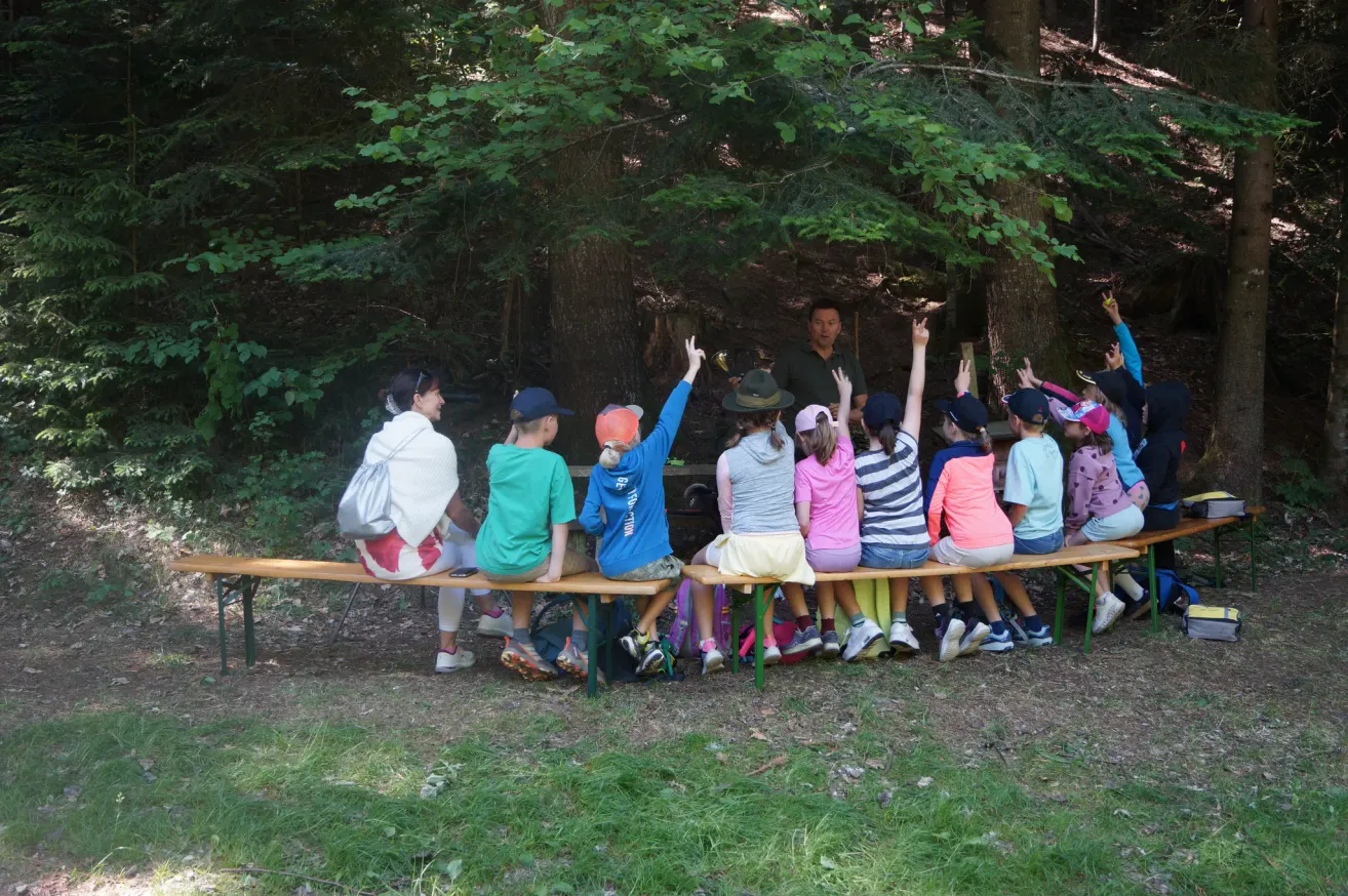 Eine Gruppe von Kindern sitzt auf einer Holzbank im Wald, wobei ein Mann vor ihnen steht. Die Kinder heben ihre Hände und scheinen aufmerksam zuzuhören.