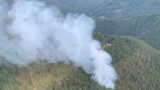 Ein dichter Waldbereich mit Bäumen und Pflanzen. Rauch steigt aus einem Feuer in der Mitte auf.