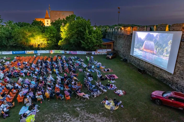 Ein Filmvorführung findet bei Nacht im Freien statt. Viele Menschen sitzen auf Stühlen und Decken auf dem Rasen und schauen auf die Leinwand. Ein Auto ist in der Nähe der Mauer geparkt.