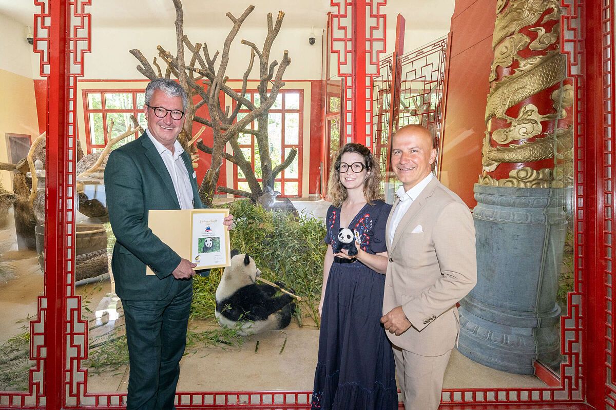 Drei Menschen stehen in einem Panda-Habitat, einer hält ein Zertifikat und ein anderer ein Panda-Spielzeug. Ein Panda sitzt hinter ihnen auf dem Boden.