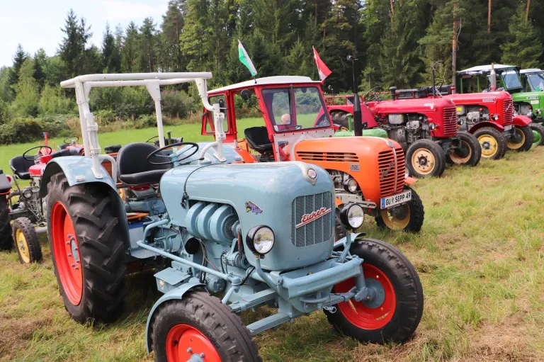 Mehrere Oldtimer-Traktoren stehen auf einer Wiese mit Bäumen im Hintergrund. Ein Traktor hat eine grüne Flagge und ein anderer eine rote Flagge.