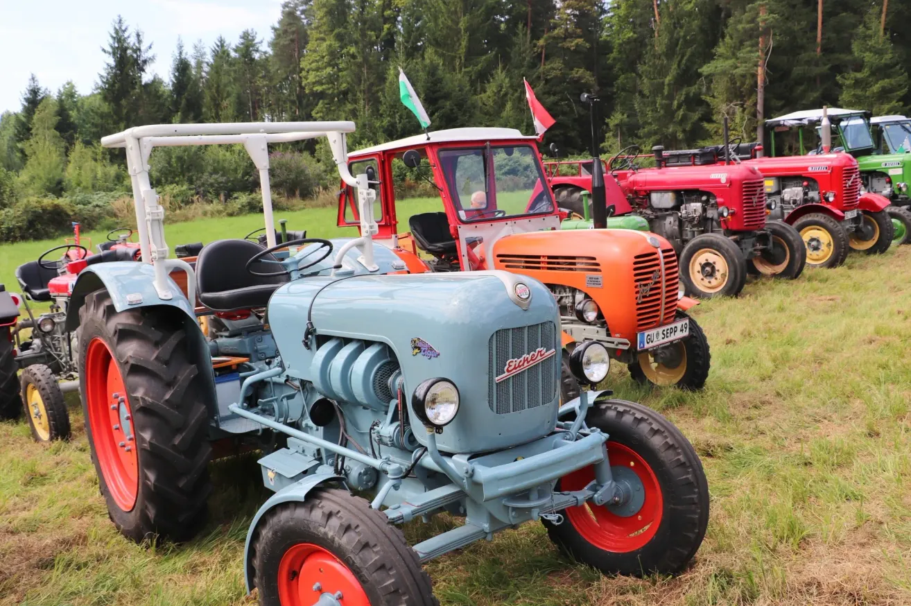 Mehrere Oldtimer-Traktoren stehen auf einer Wiese mit Bäumen im Hintergrund. Ein Traktor hat eine grüne Flagge und ein anderer eine rote Flagge.