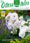 Eine Informationsseite der Marktgemeinde St. Peter am Ottersbach. Es zeigt eine Nahaufnahme weißer Rosen mit grünen Blättern und einem Lavendelbusch im Hintergrund. Das Bild enthält auch die Website-Adresse www.st-peter-ottersbach.gv.at.