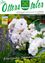 Eine Informationsseite der Marktgemeinde St. Peter am Ottersbach. Es zeigt eine Nahaufnahme weißer Rosen mit grünen Blättern und einem Lavendelbusch im Hintergrund. Das Bild enthält auch die Website-Adresse www.st-peter-ottersbach.gv.at.