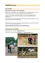 Das Bild zeigt ein Flyer für eine Reitschule, der verschiedene Aktivitäten für Kinder und Erwachsene anbietet. Es enthält verschiedene Reitstunden und Aktivitäten für verschiedene Altersgruppen und Fähigkeiten. Der Flyer enthält auch Kontaktdaten und eine Website. Fotos zeigen Reiter auf Pferden.
