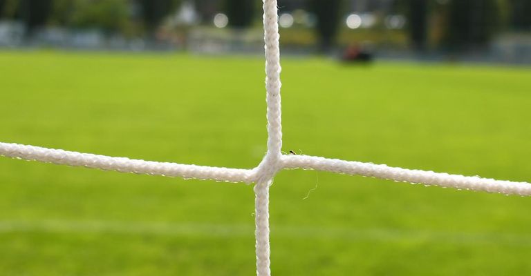 Nahaufnahme eines Fußballtornetzes mit einem kleinen Insekt darauf. Der grüne Rasen ist im Hintergrund.