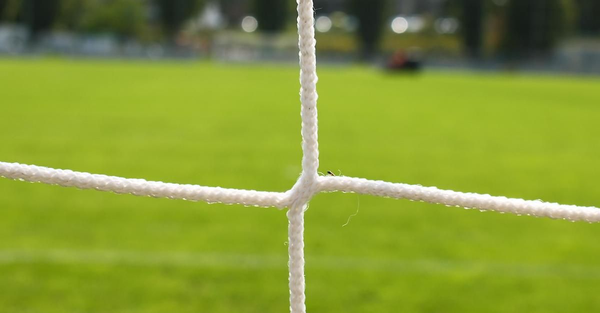 Nahaufnahme eines Fußballtornetzes mit einem kleinen Insekt darauf. Der grüne Rasen ist im Hintergrund.