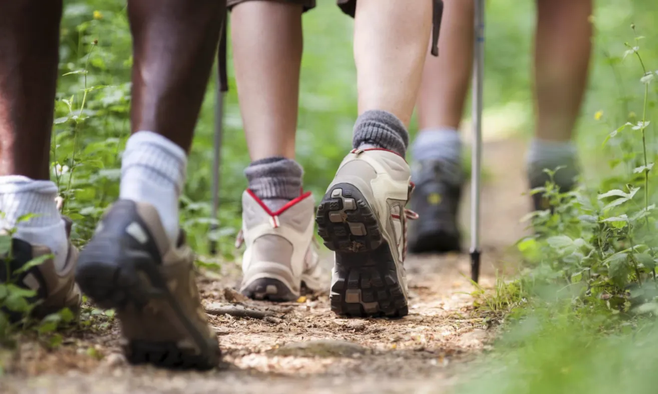 Three hikers with trekking shoes are walking on a dirt trail, with one using trekking poles. They are wearing socks and have a forest background.