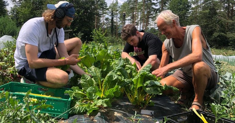 Three individuals work in a garden, with one examining green vegetables. Another man smiles, and a third person holds a pen.