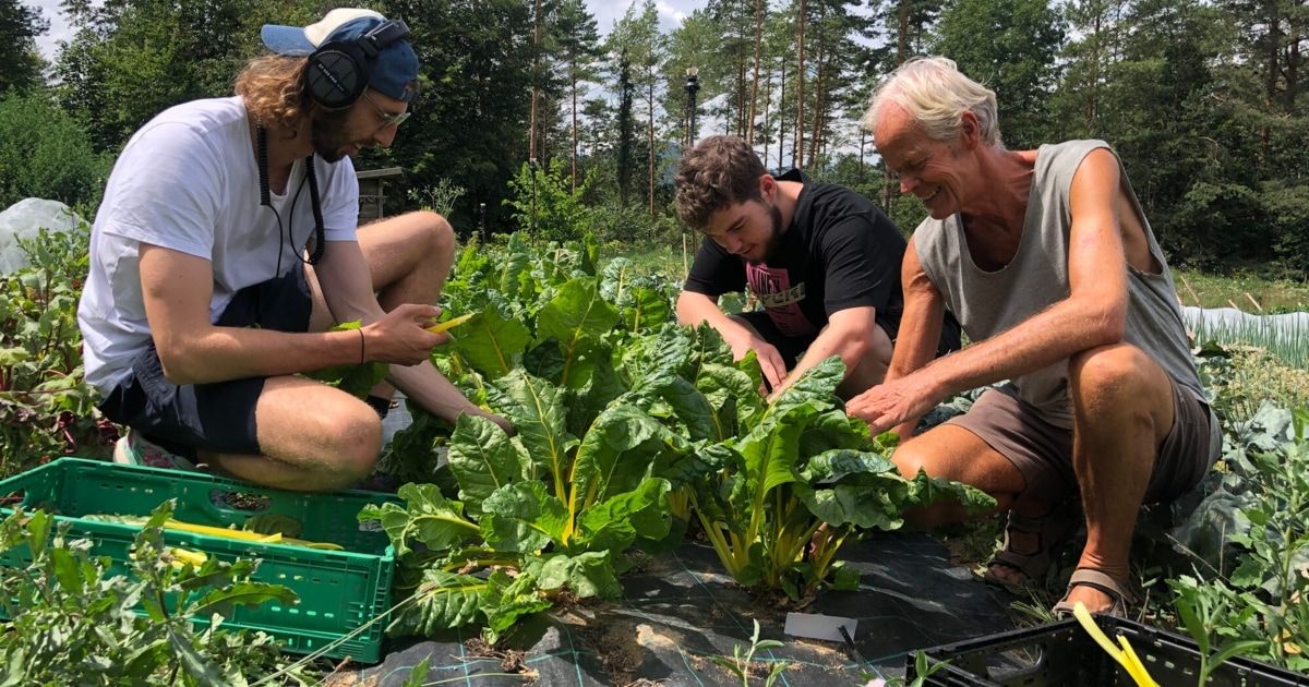 Three individuals work in a garden, with one examining green vegetables. Another man smiles, and a third person holds a pen.