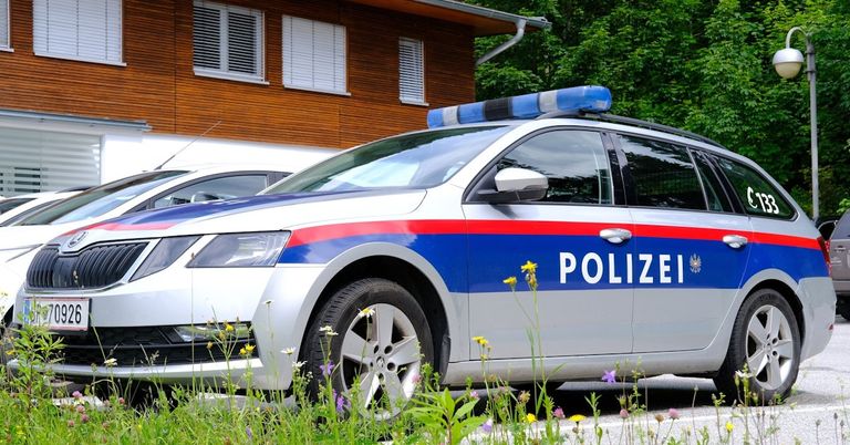 A police car with blue and red stripes is parked in front of a house with white shutters.