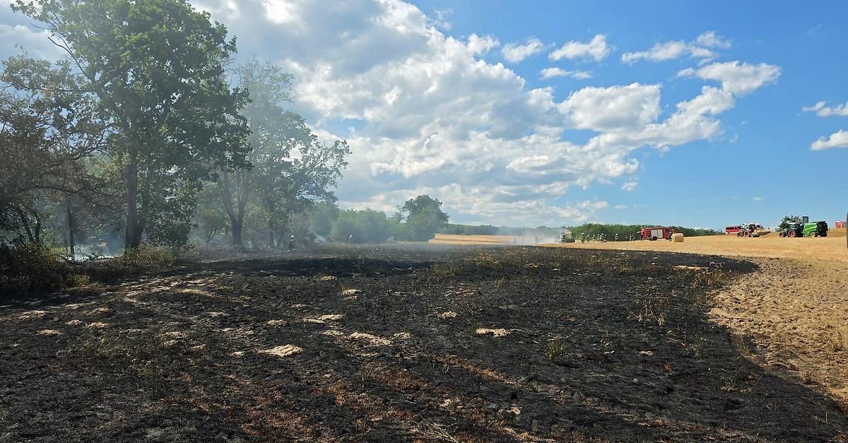 A fire-ravaged field with trees and a distant fire truck, under a partly cloudy sky.