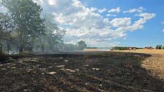 A fire-ravaged field with trees and a distant fire truck, under a partly cloudy sky.