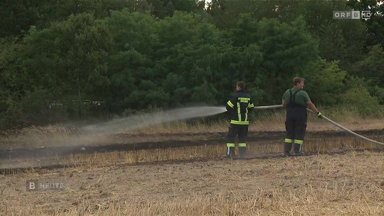Zwei Feuerwehrleute in Uniform sprühen Wasser aus einem Schlauch auf ein Feld mit trockenem Gras. Bäume und Büsche sind im Hintergrund.