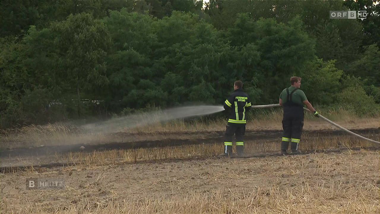 Two firefighters in uniform are spraying water from a hose onto a field with dry grass. Trees and bushes are in the background.
