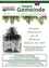 Ein Flyer mit einer Gruppe von Menschen in weißen Gewändern und Engelsflügeln, die vor einem Weihnachtsbaum mit einer festlichen Botschaft stehen und allen ein frohes Weihnachtsfest und die besten Wünsche für 2018 wünschen.