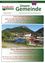 Ein offizielles Gemeinde-Newsletter aus Frankenfels, Österreich, vom Februar 2022, mit einem malerischen Bild eines Schwimmbeckens, auf dem Menschen das sonnige Sommerwetter genießen.