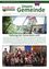 Amtliche Nachrichten der Marktgemeinde Frankenfels, Ausgabe 01/2019. Eine Gruppenaufnahme von Eltern und Neugeborenen vor dem Rathaus und einem Uhrturm. Die Bildunterschrift lautet 'Babytag der Generation 2018'.