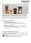 Ein Infografik mit vier Hunden und Text über die obligatorische Hundebesitzerausbildung ab Juli 2026. Es werden die Anforderungen für den Theorie- und Praxiskurs erklärt.